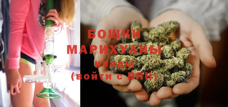 сколько стоит  Бобров  Бошки Шишки Ganja 